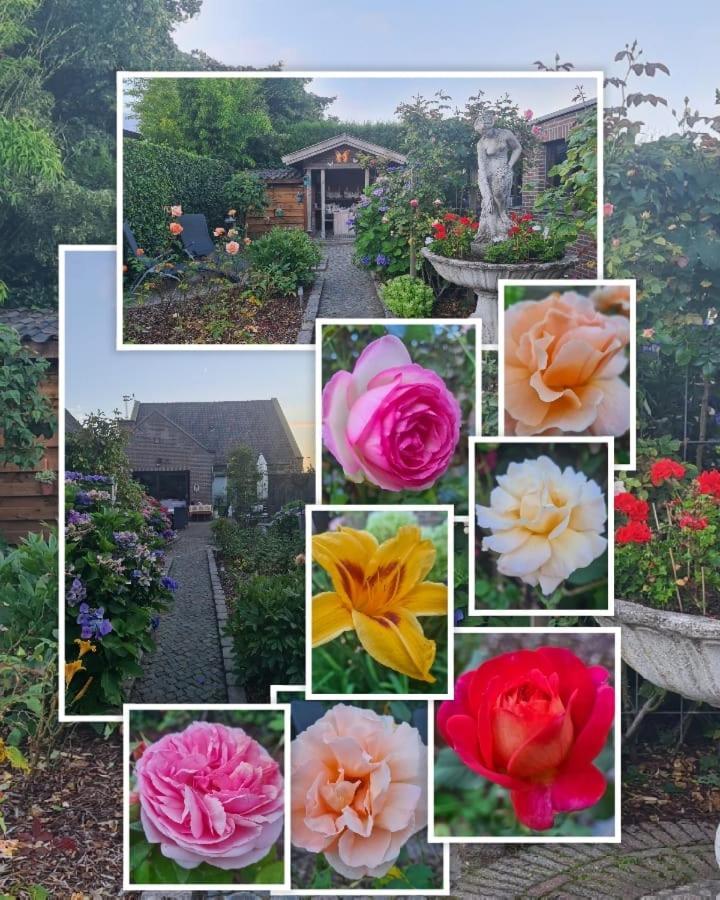 Bed and Breakfast La Rose Pelt Екстер'єр фото