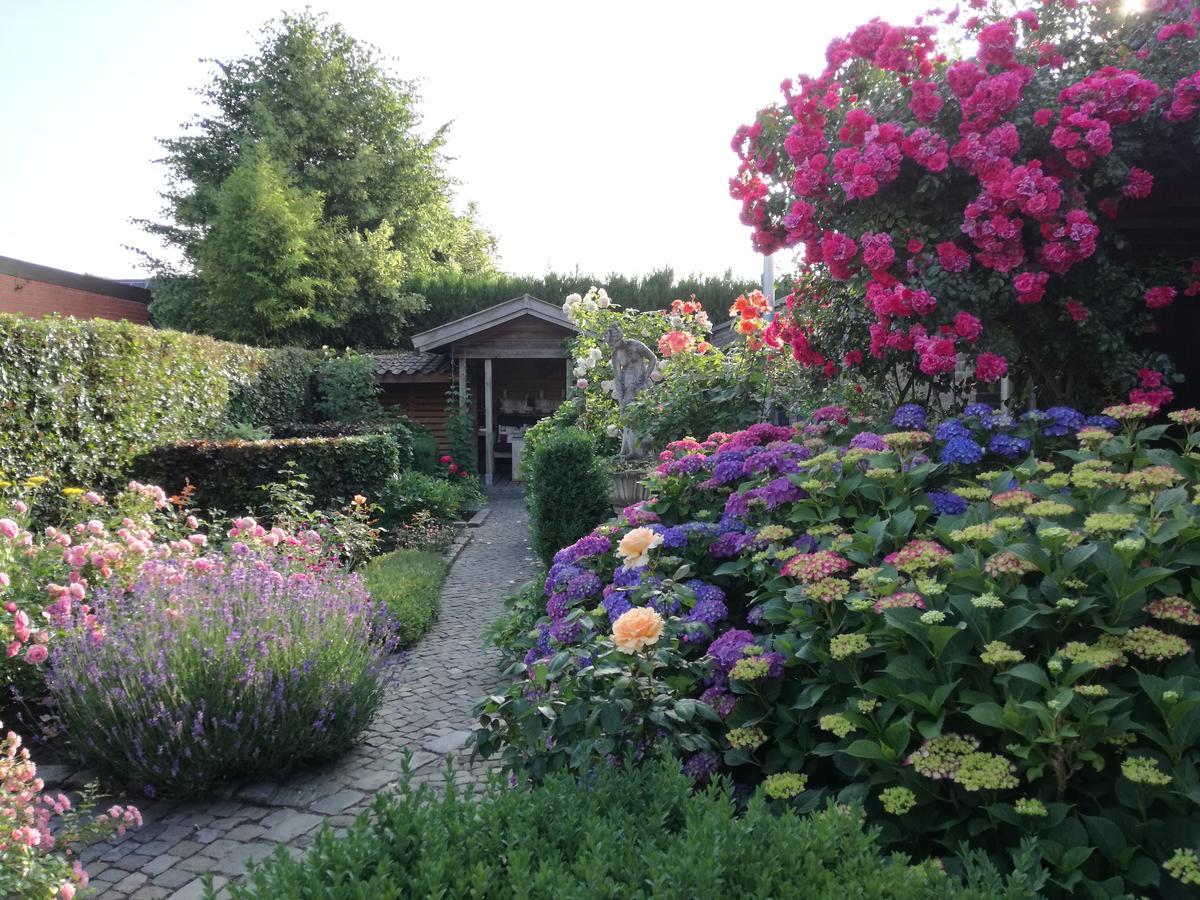 Bed and Breakfast La Rose Pelt Екстер'єр фото